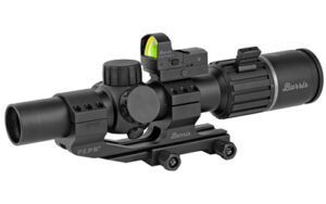 Burris Combo RT6