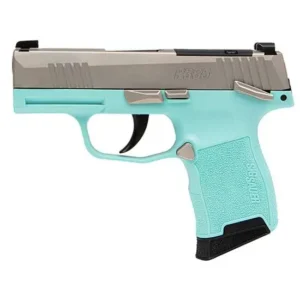Sig Sauer P365-380 .380 ACP Pistol product image