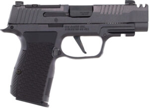 Sig Sauer P365-380 .380 ACP Pistol product image