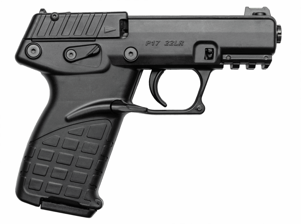 KelTec P17 .22 LR 3.93" Barrel 10+1 Capacity Black Pistol