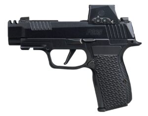 Sig Sauer P365-380 .380 ACP Pistol product image