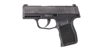 Sig Sauer P365-380 .380 ACP Pistol product image