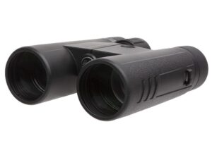 Sig Sauer Buckmasters 10x42mm Binocular product image