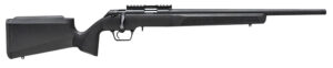 Springfield Armory Model 2020 Rimfire Target ..22 LR 22-Inch Black Threaded Rifle