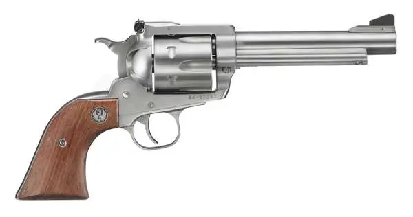Ruger Super Blackhawk .44 Magnum Revolver, 5.5" Barrel, Stainless product image
