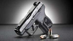 Ruger LCP vs LCP Max