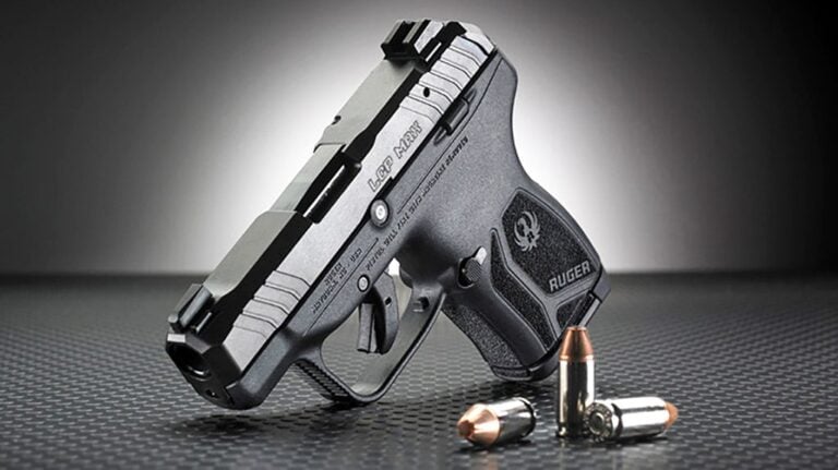Ruger LCP vs LCP Max